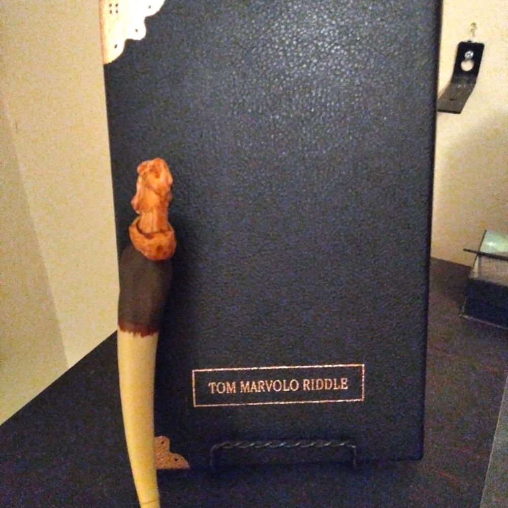 Tom riddle diary journal